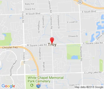 logo-image - troy-mi